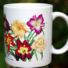 mug display of daylilies I white